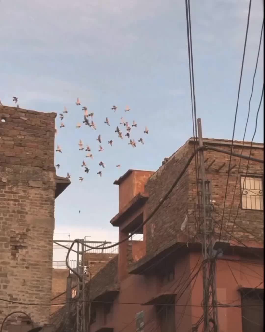 @ʜᴀɪᴅᴇʀɪ__wri8s