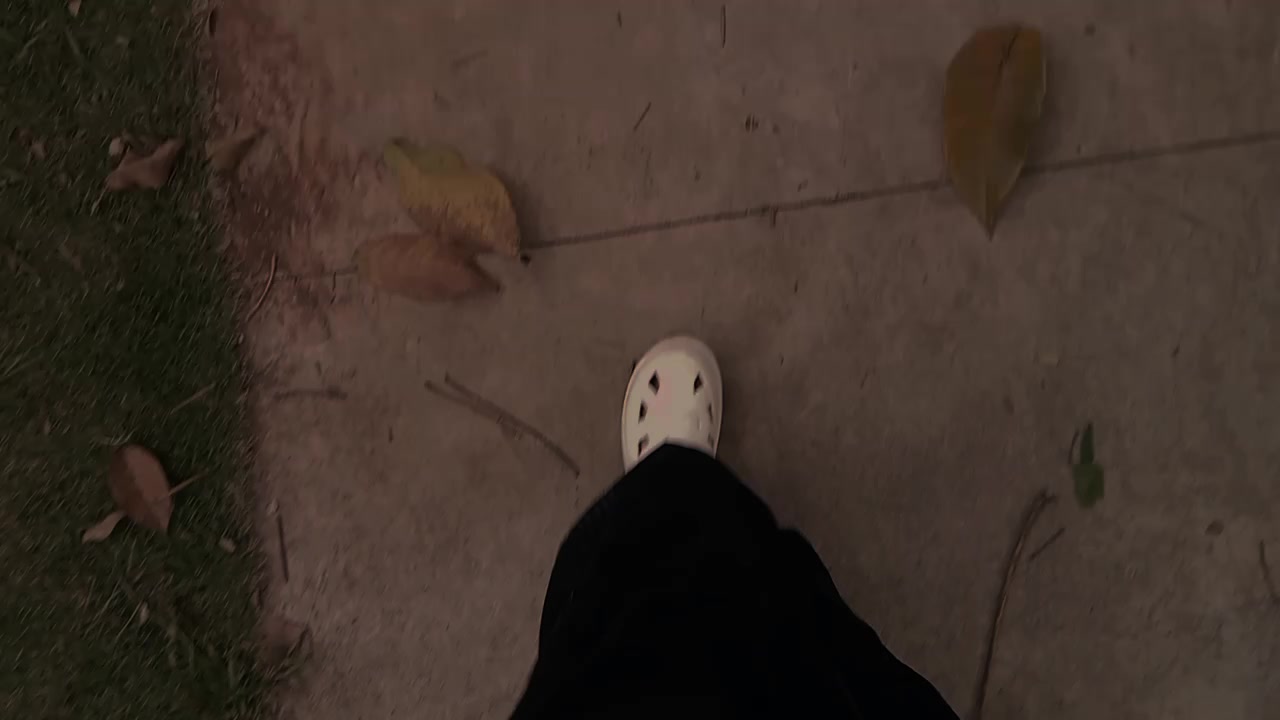@🦋