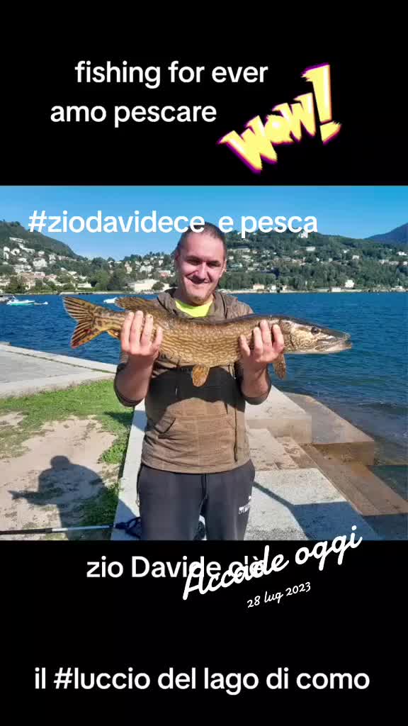 @ziodavidece