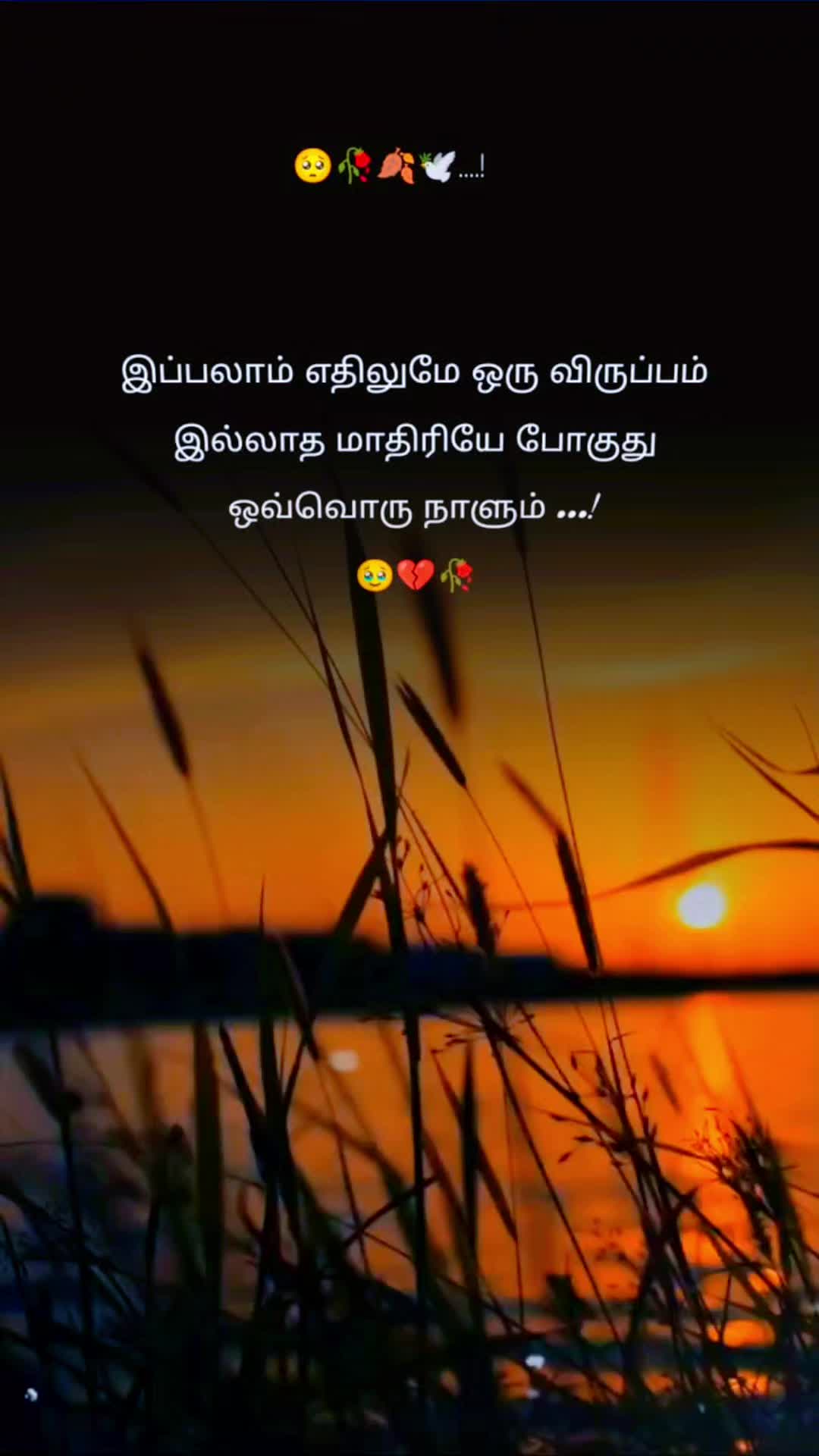 @꧁✨❤️ நினைவெல்லாம்❤️நீதானே ❤️✨꧂
