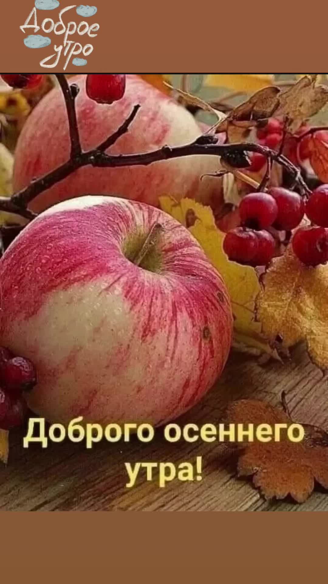 @Юлия