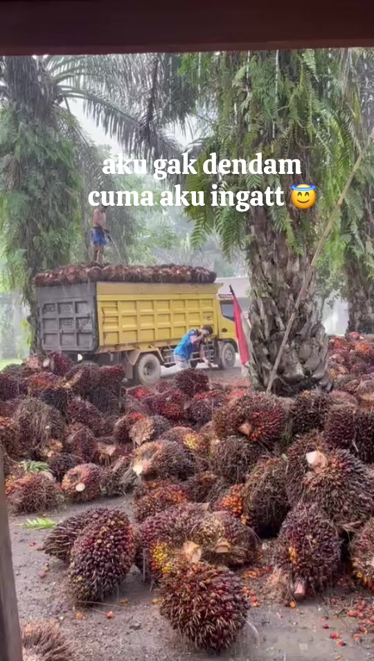 @Mhmmd Ariff