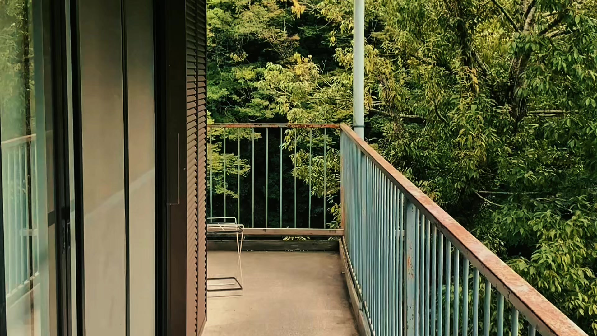 @富森