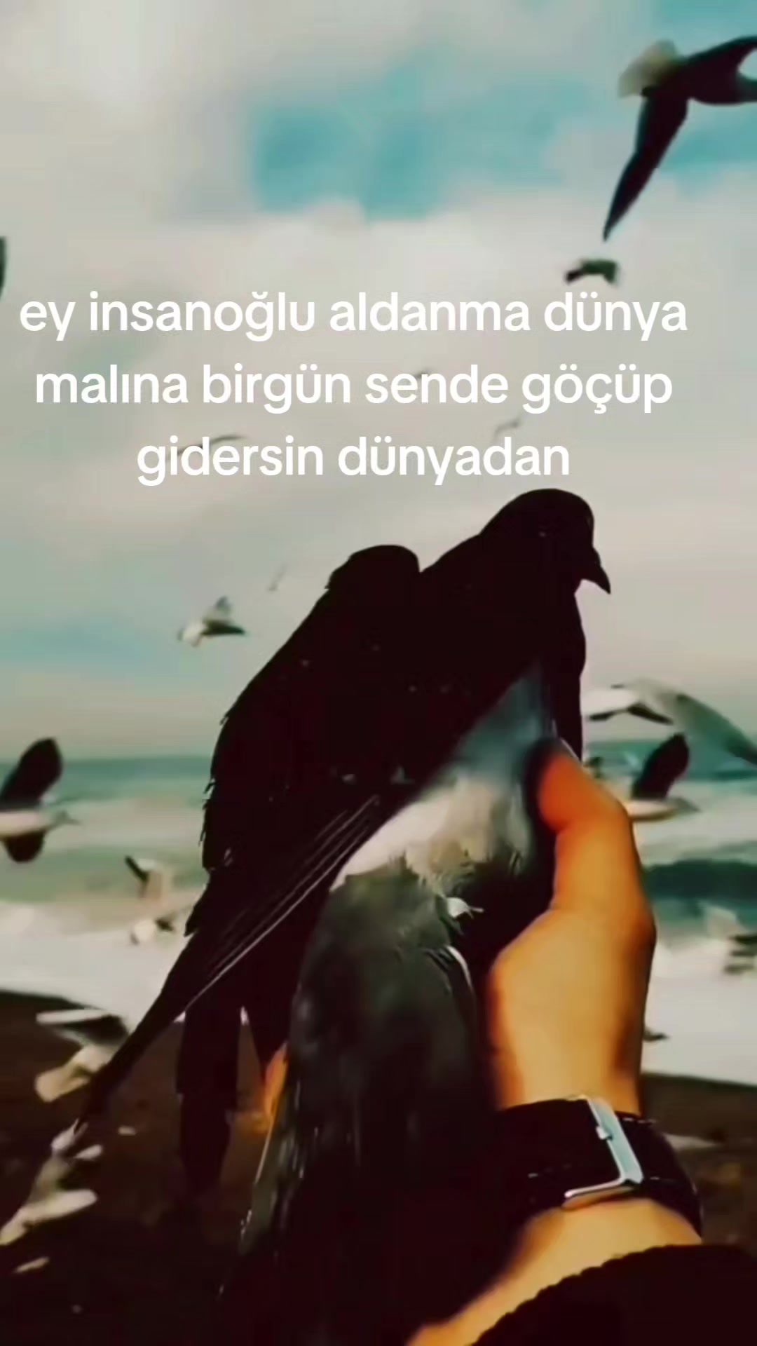@Ibrahim G&uuml;rcan