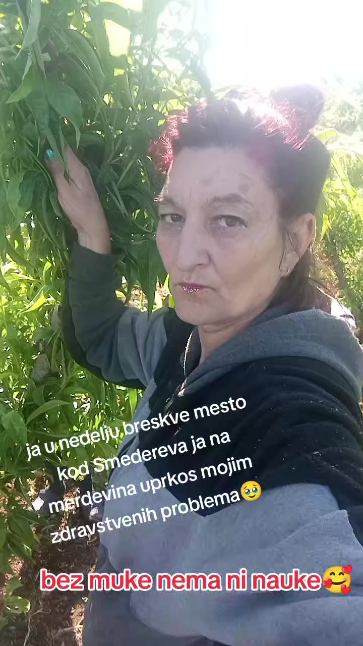 @Slavica Kraljica