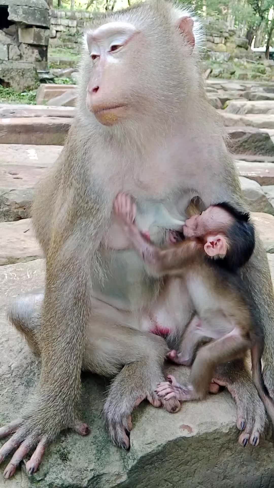 @seng kimhuot