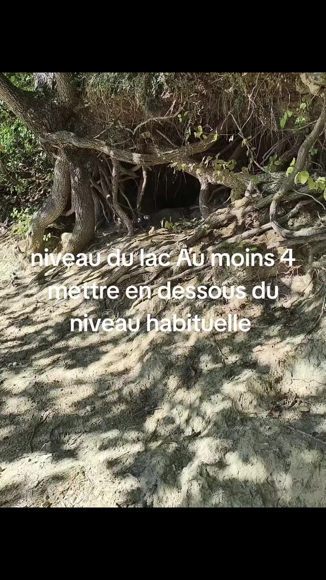 @Antoine frau