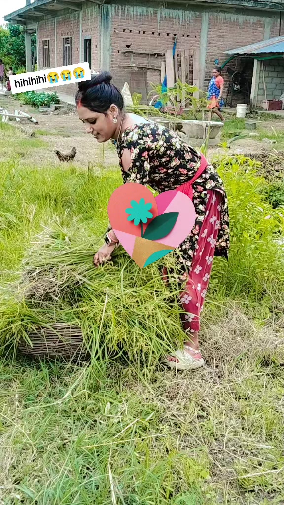 @siwani713