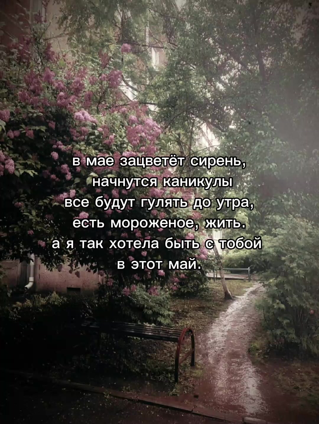 @𝓇𝒾𝒷𝒾𝓉