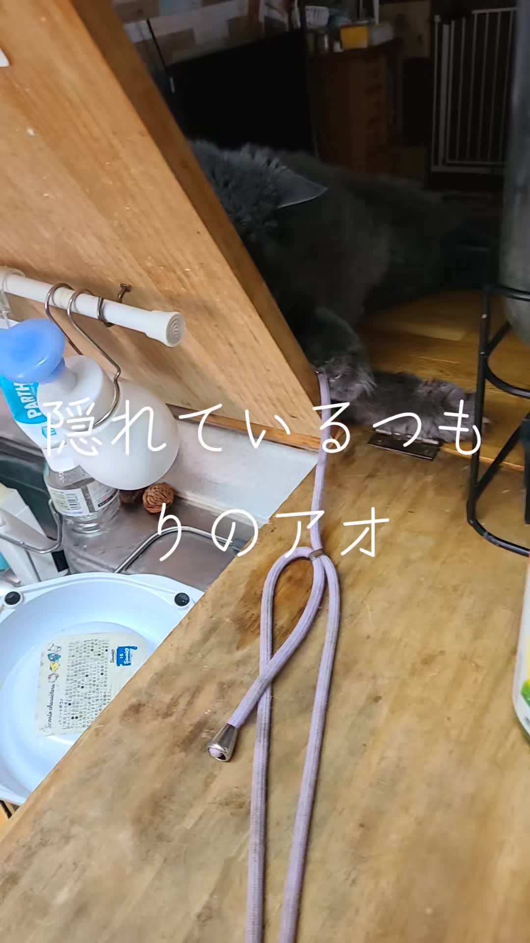 @沙亜代