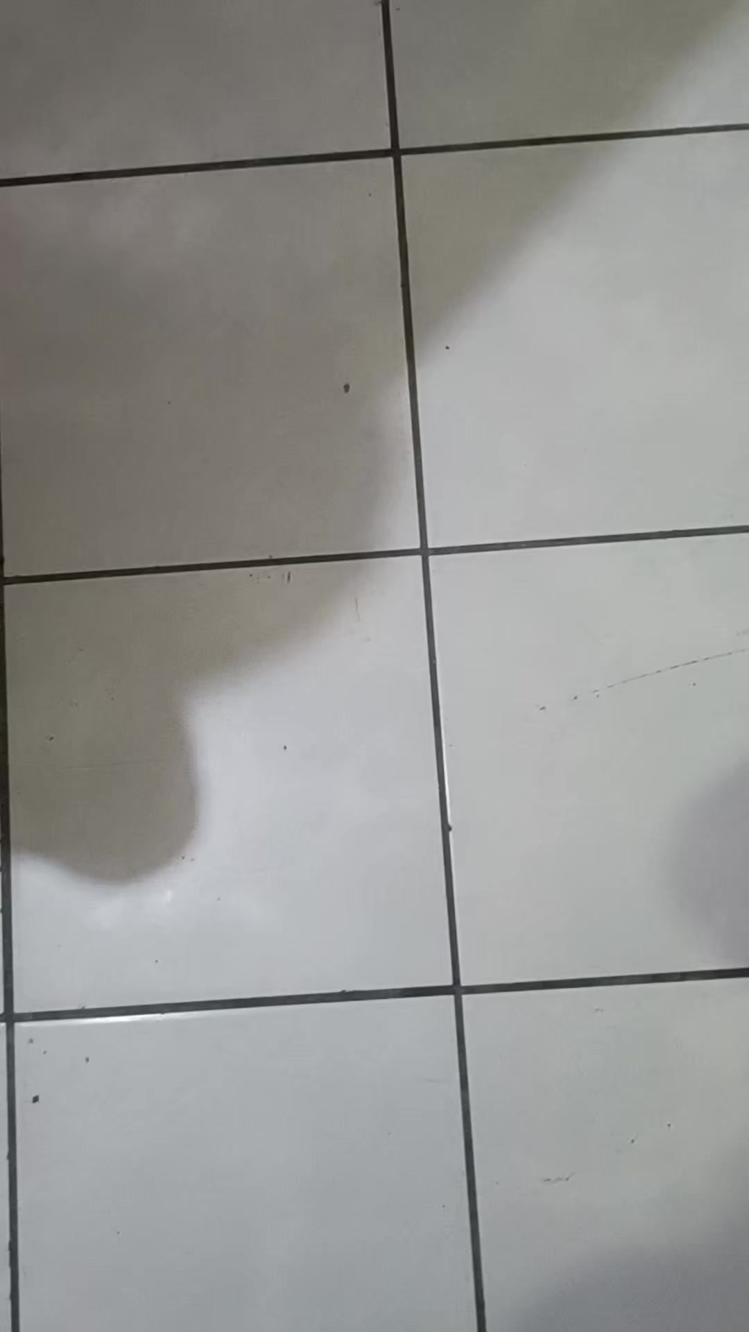 @negrita y peluche