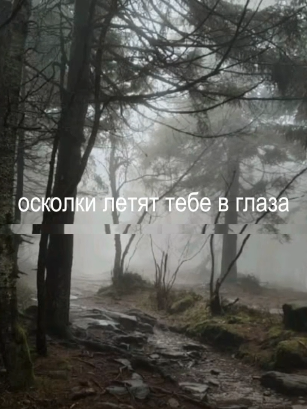 @алинверк