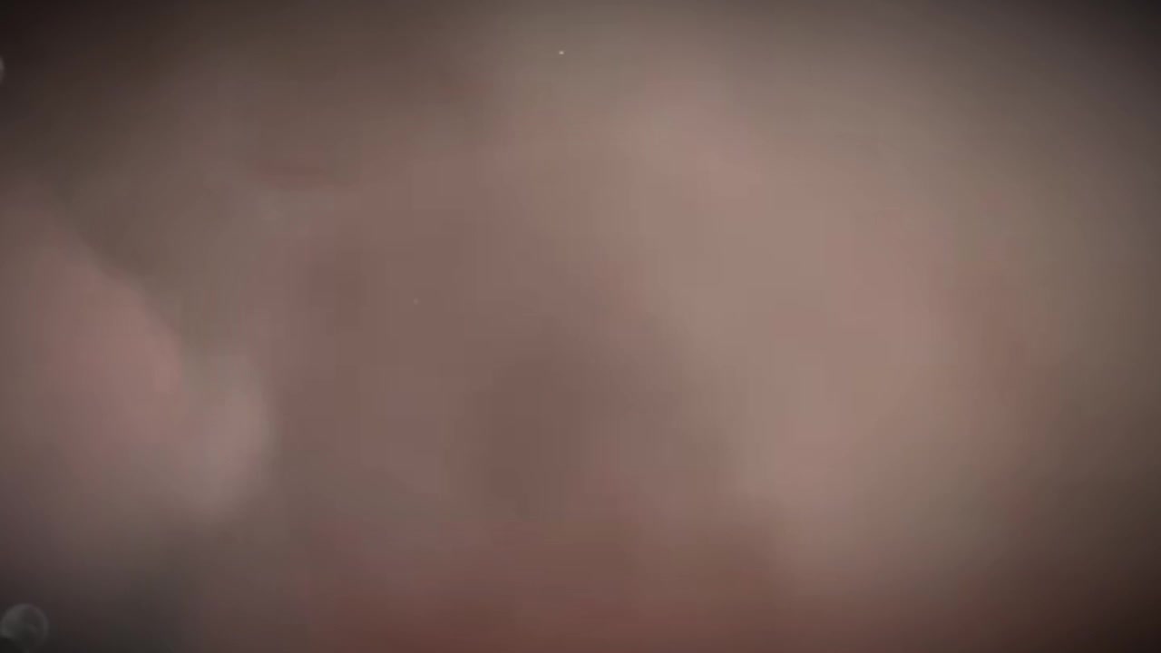 @𝙔𝙋🐇