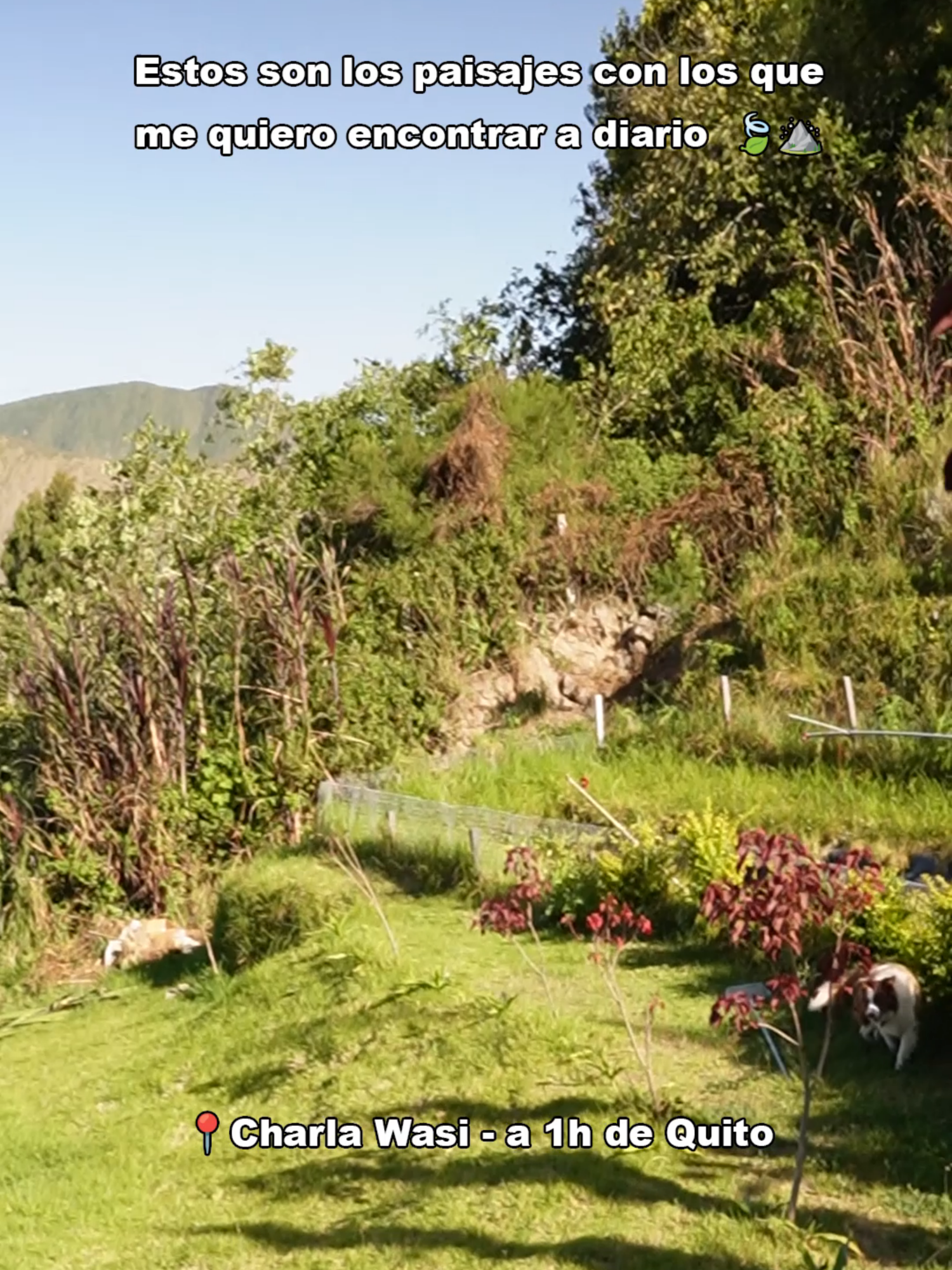 @Charla Wasi | Cabaña y Camping