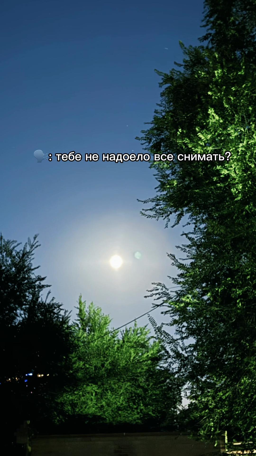 @Moon🌙 87