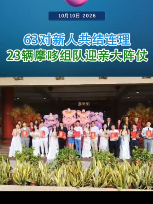 @中国报