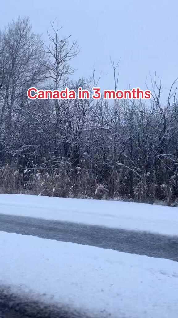 @Aneel🇨🇦