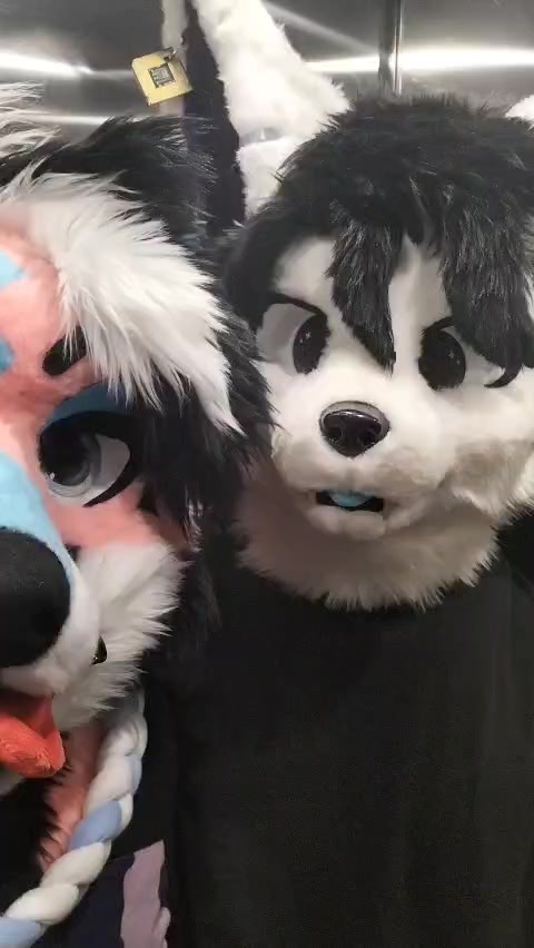 @PHAYCON