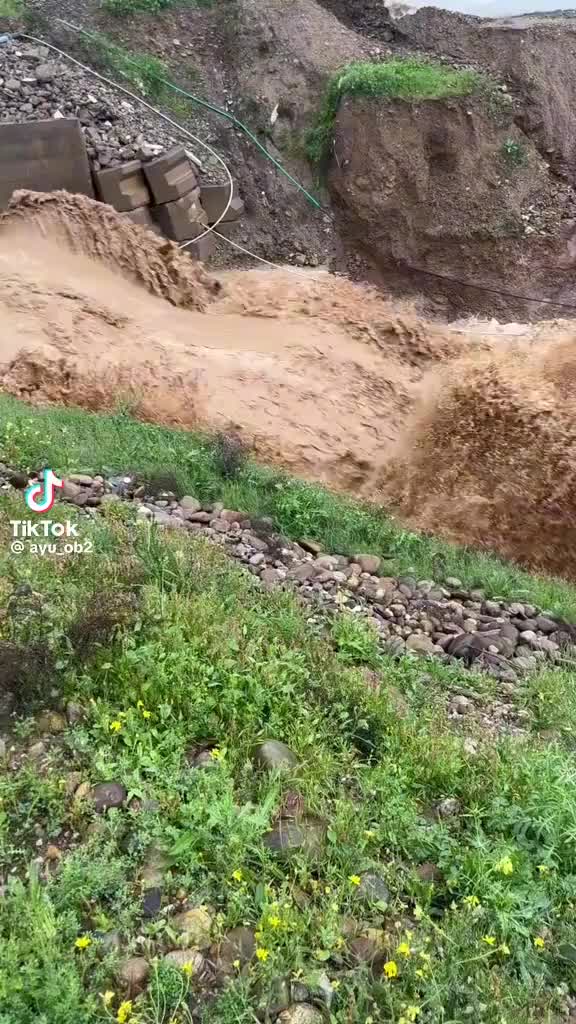 @رحلة الفكر