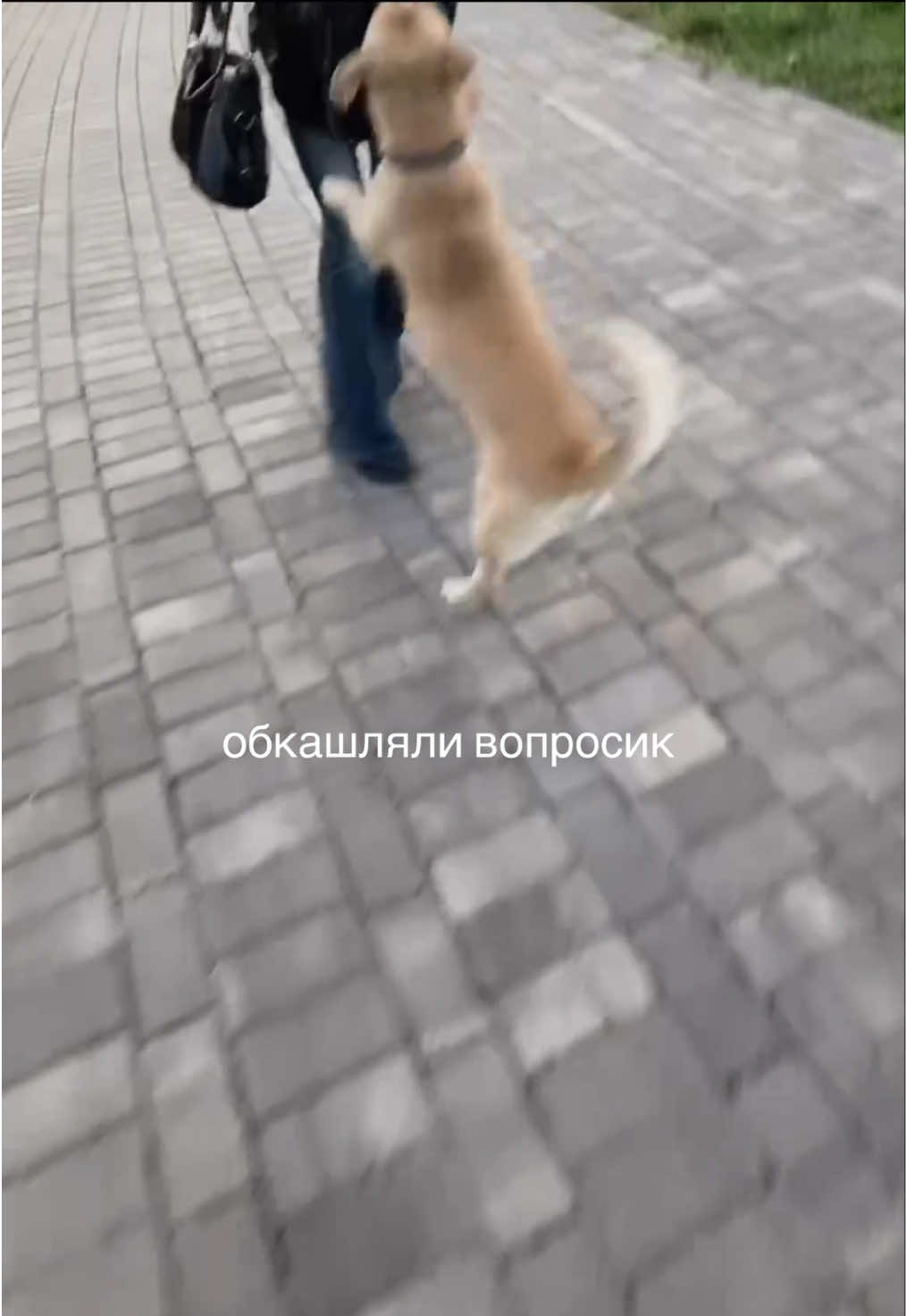 @minsu