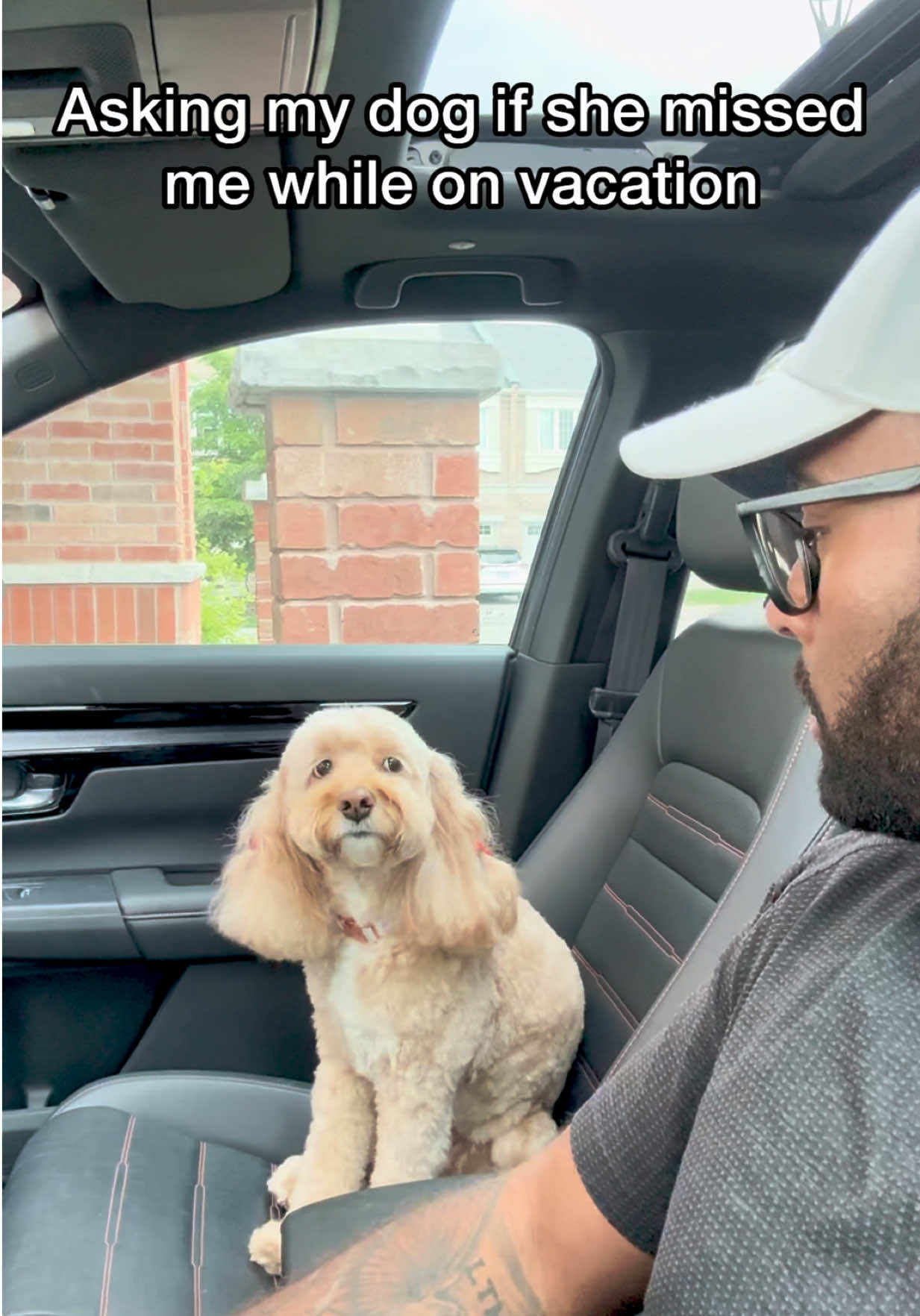 @LunaTheMiniCockapoo