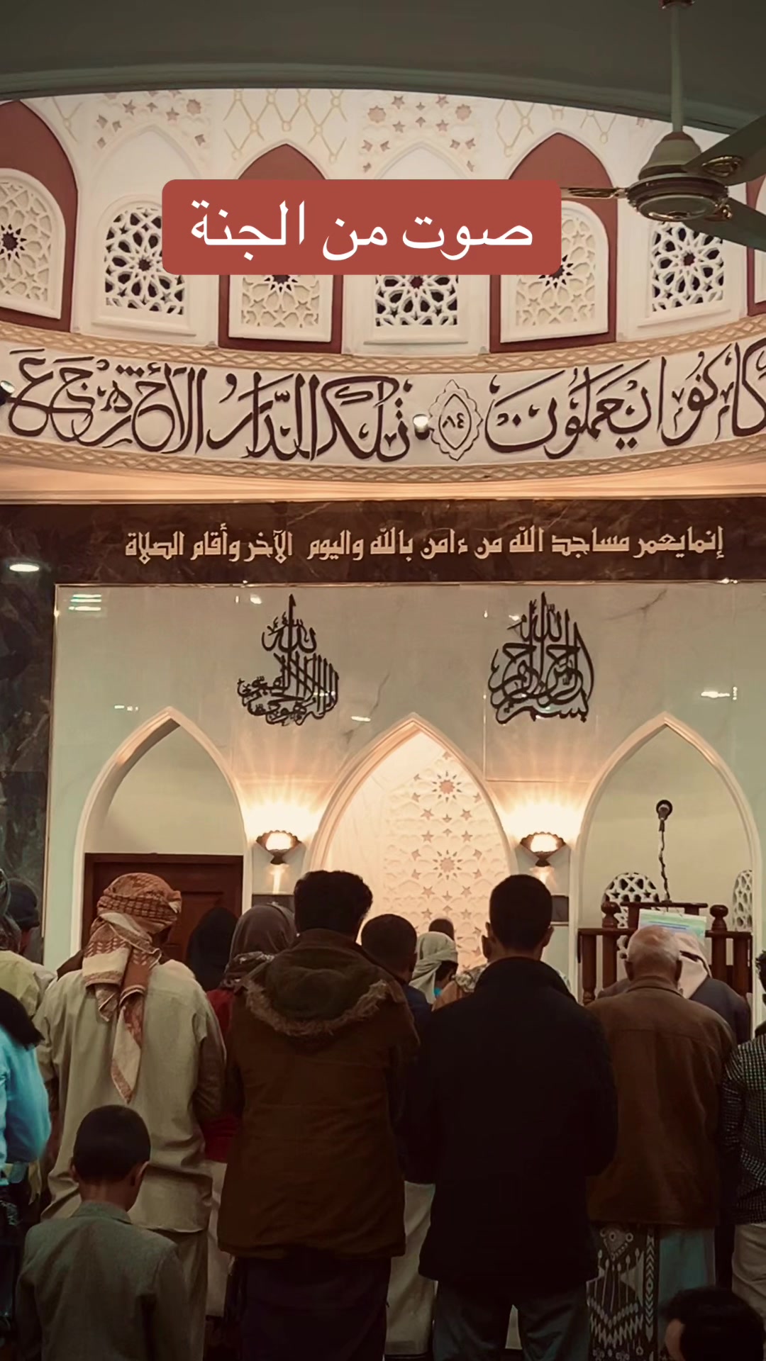 @AHMED📌