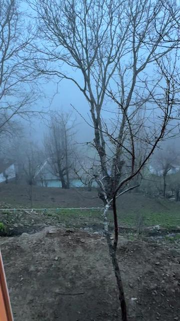 @talış