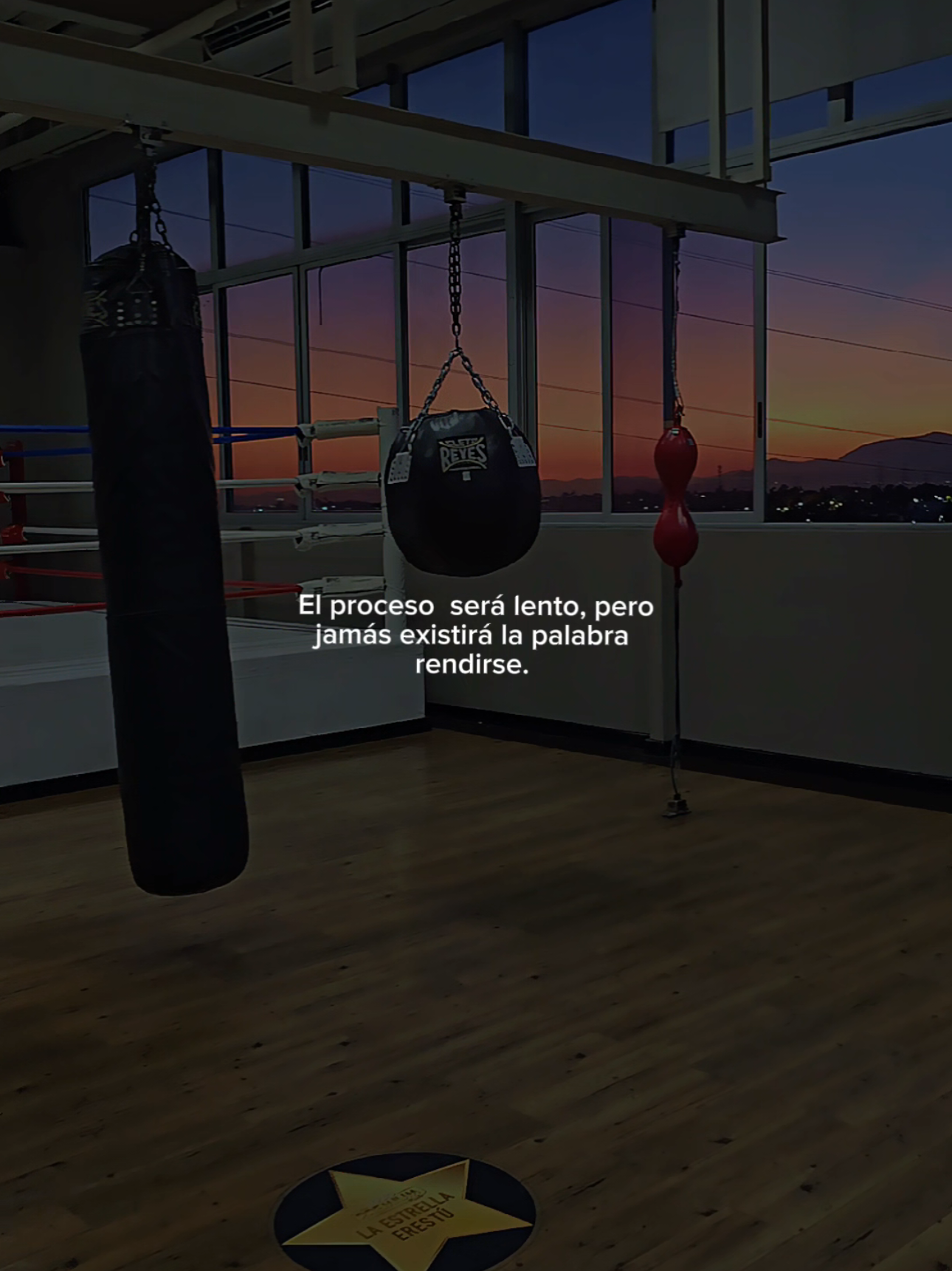 @Javi H