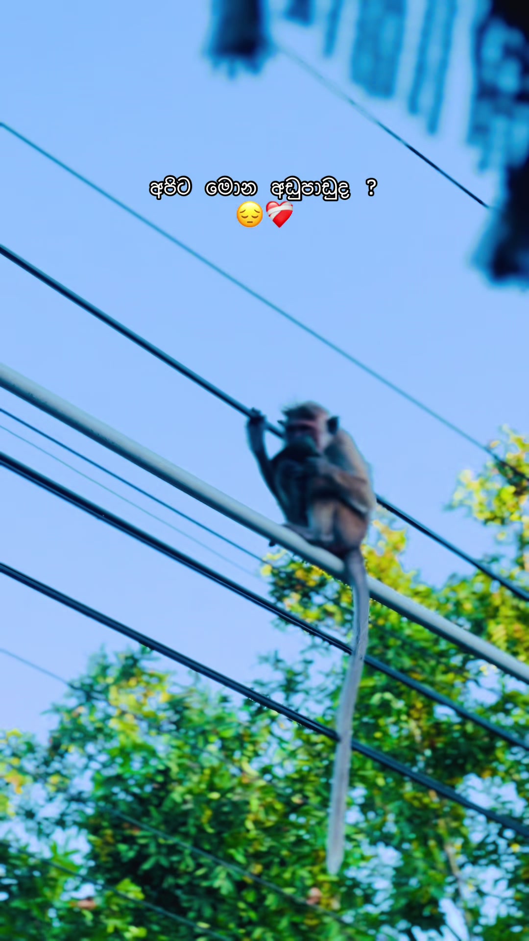 @RU-KA ()