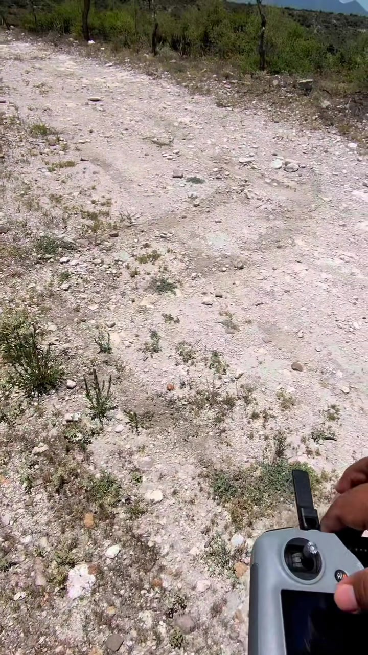 @Miguel Palma