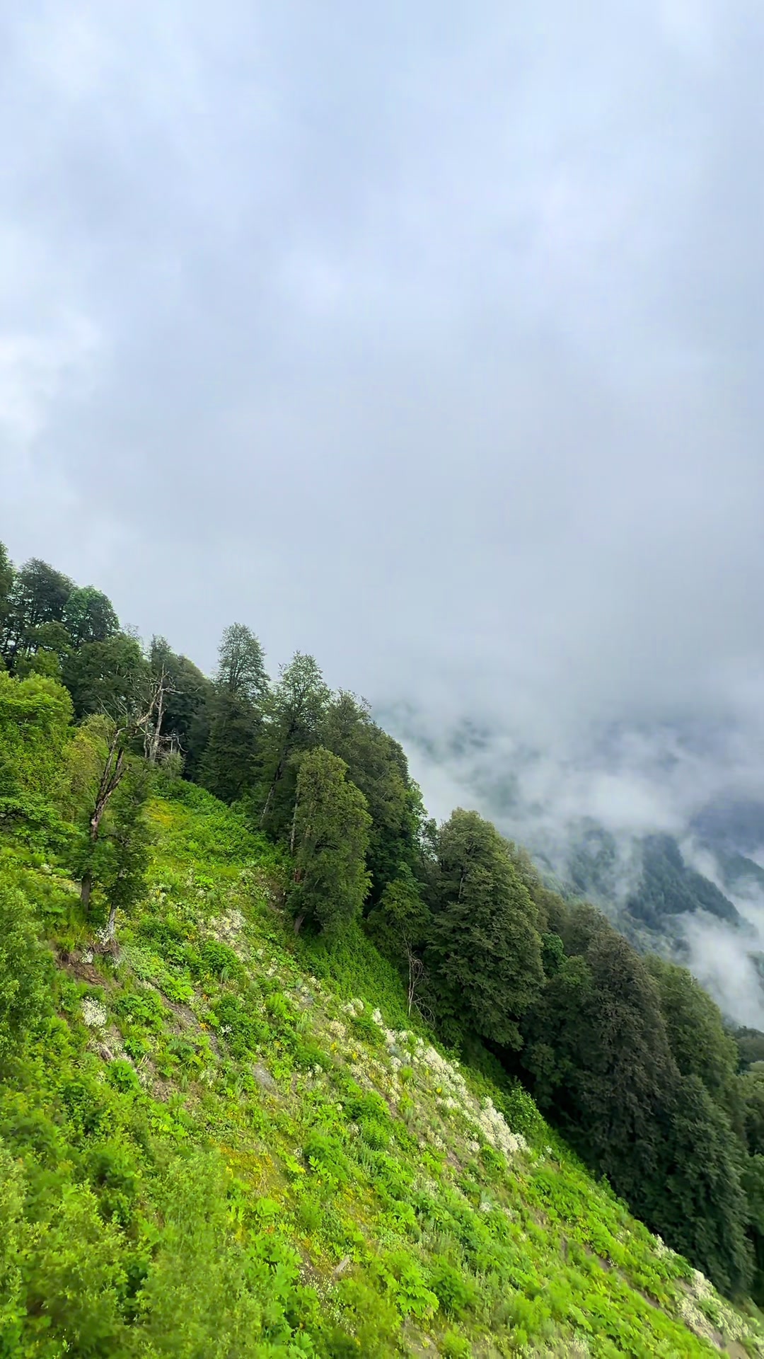 @𝑺.🇦🇿