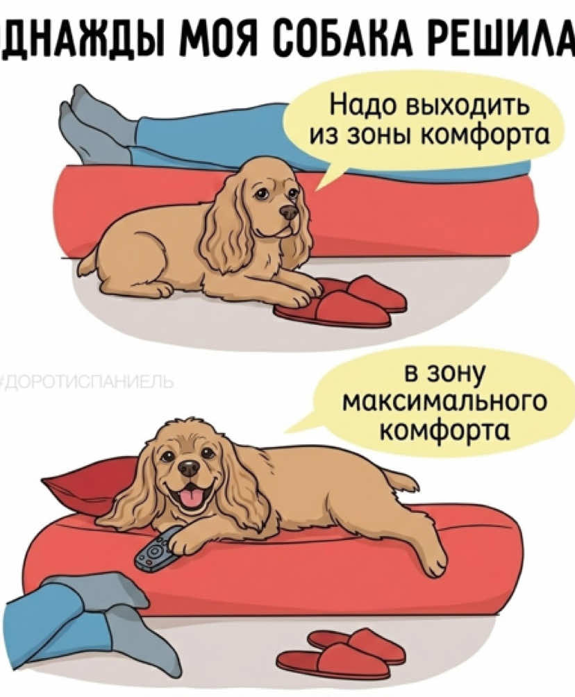 @Донна Дороти 🐶
