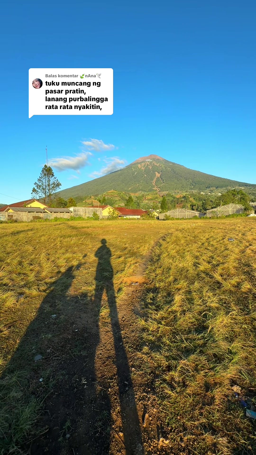 @Purbalingga