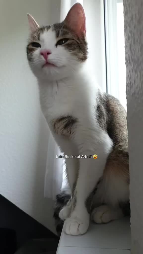 @Minnoş❤💙61