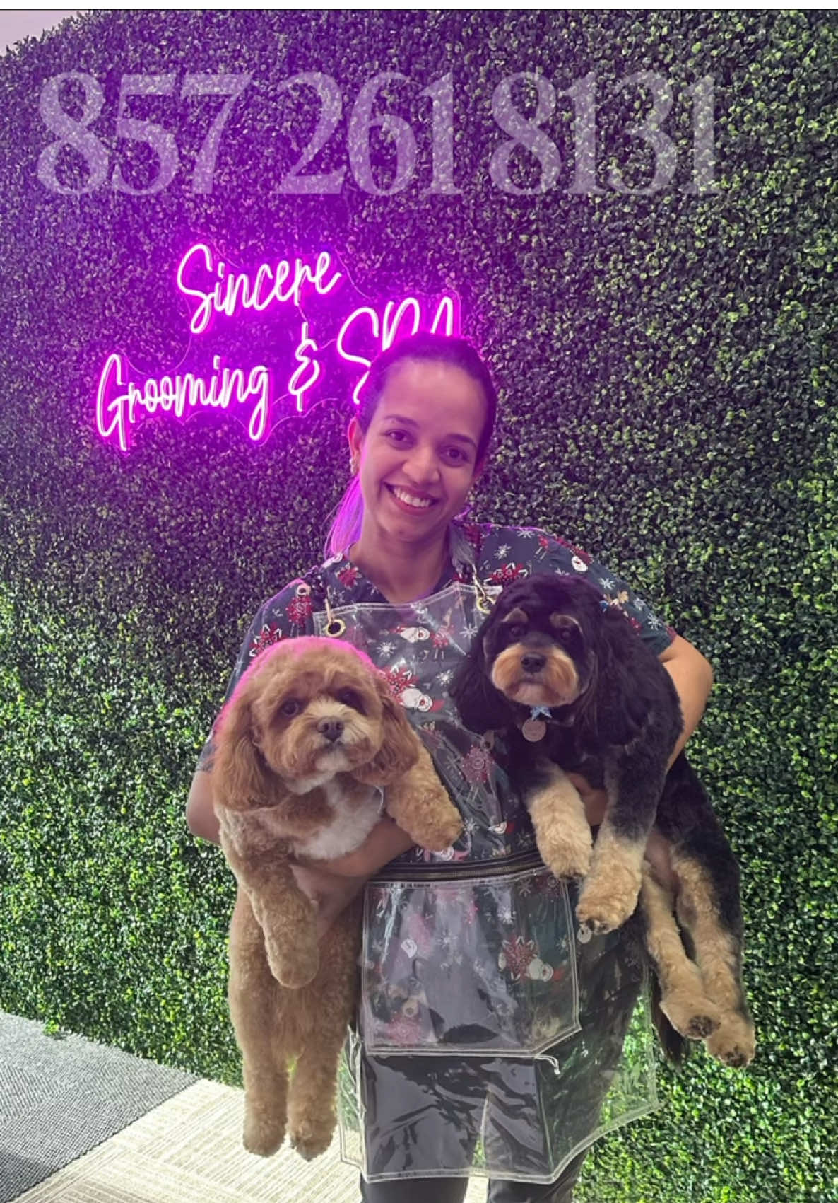 @Sincere Groomer