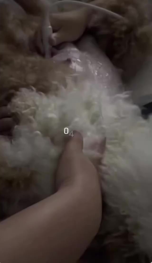 @𝐍𝐢𝐬𝐡𝐮 𝐆𝐢𝐫𝐥_🧸💗
