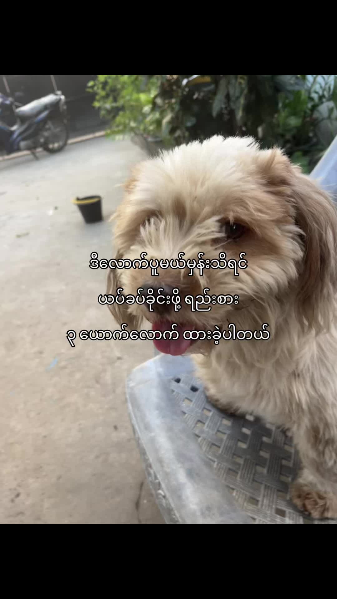 @Wàlrūss.