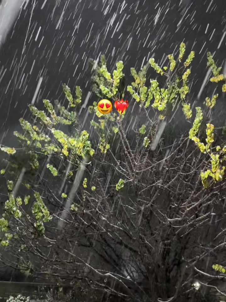 @๐๐ฎ๐ฅ๐๐ฆ๐จ๐ฏ๐ฏ๏ฃฟ