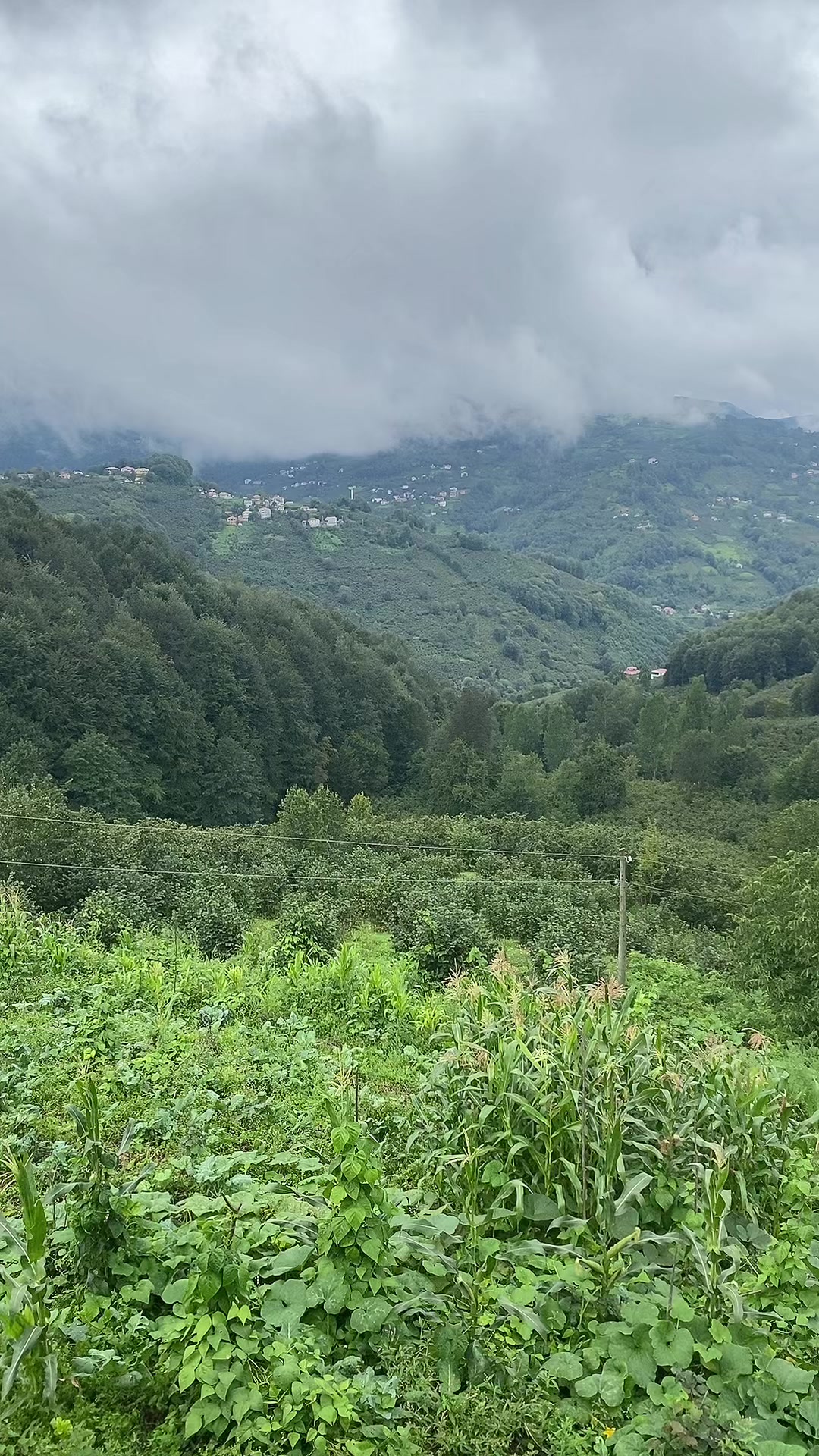 @Türkü1