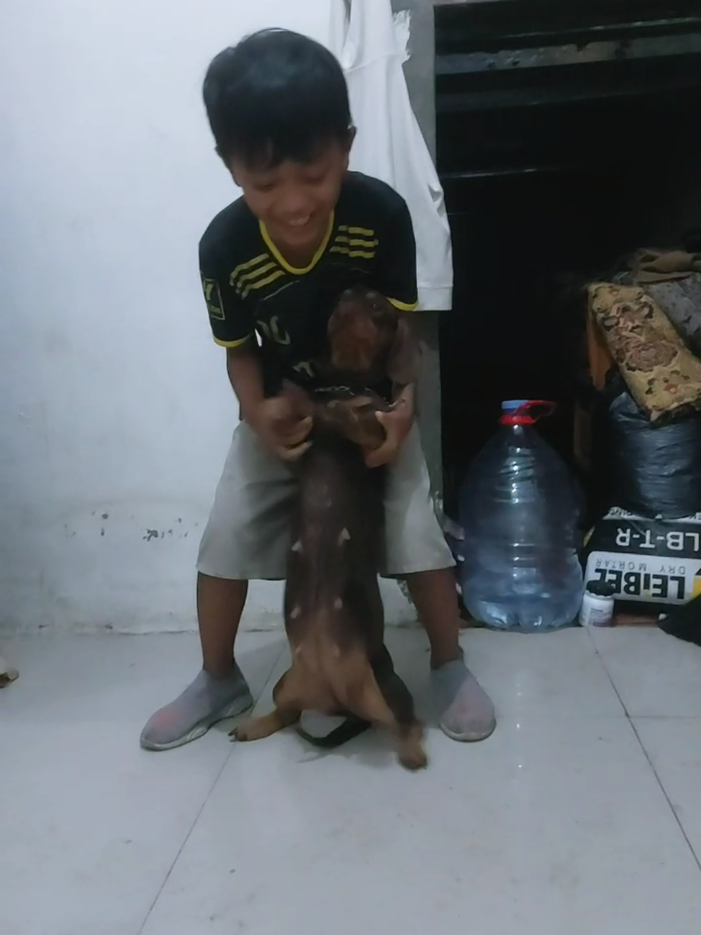 @Cileunyi Rabbit