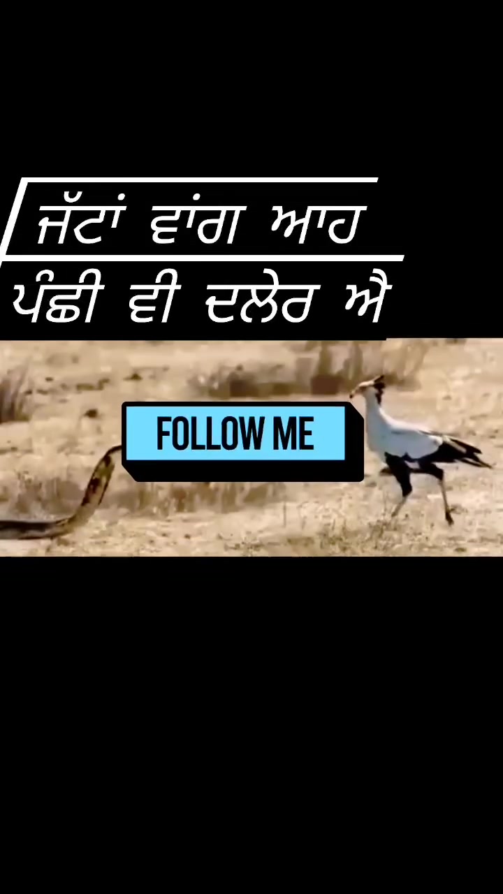 @Deepa jatt 17