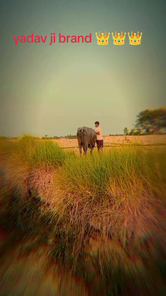 @Yadav ji