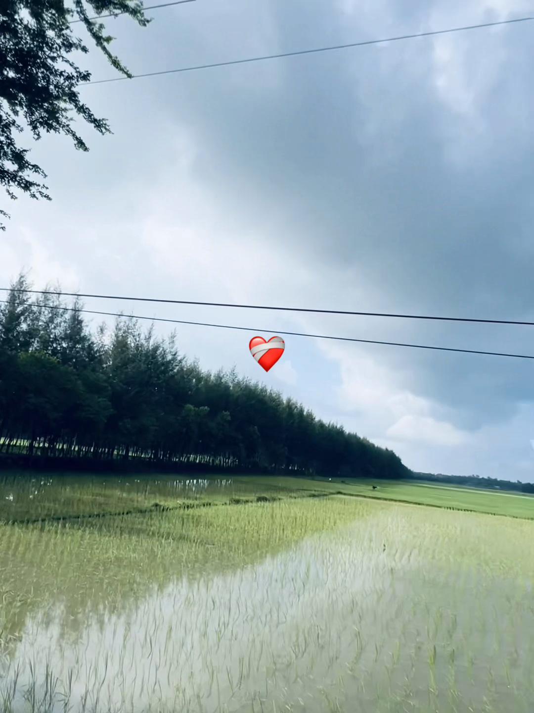 @পরিবারের ছোট ছেলে..🙂🥀