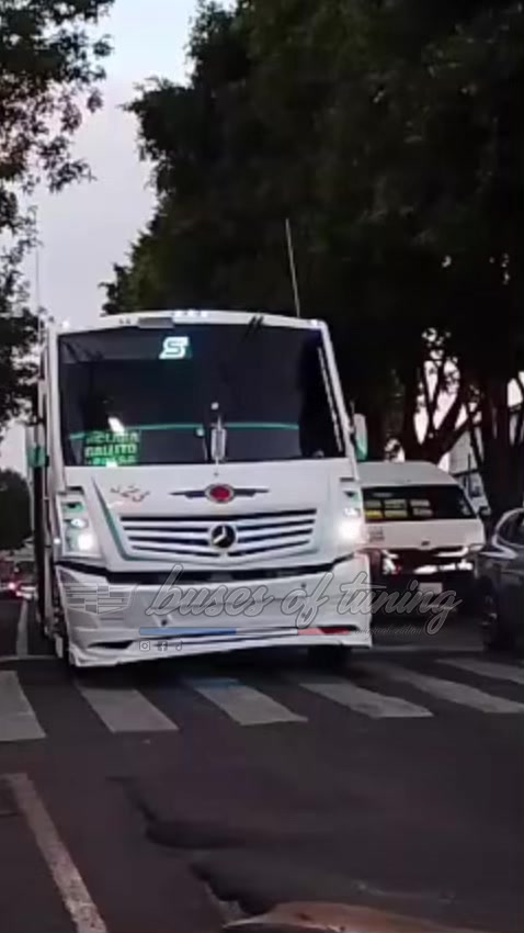 @𝐵𝑢𝑠𝑒𝑠 𝑂𝑓 𝑇𝑢𝑛𝑖𝑛𝑔