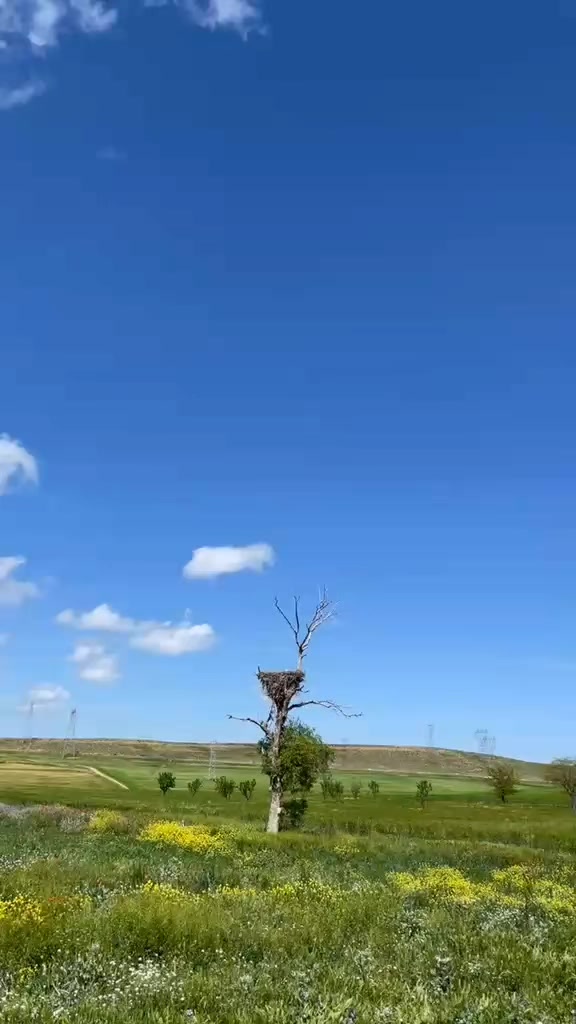 @kįm&oslash;&uacute;💔
