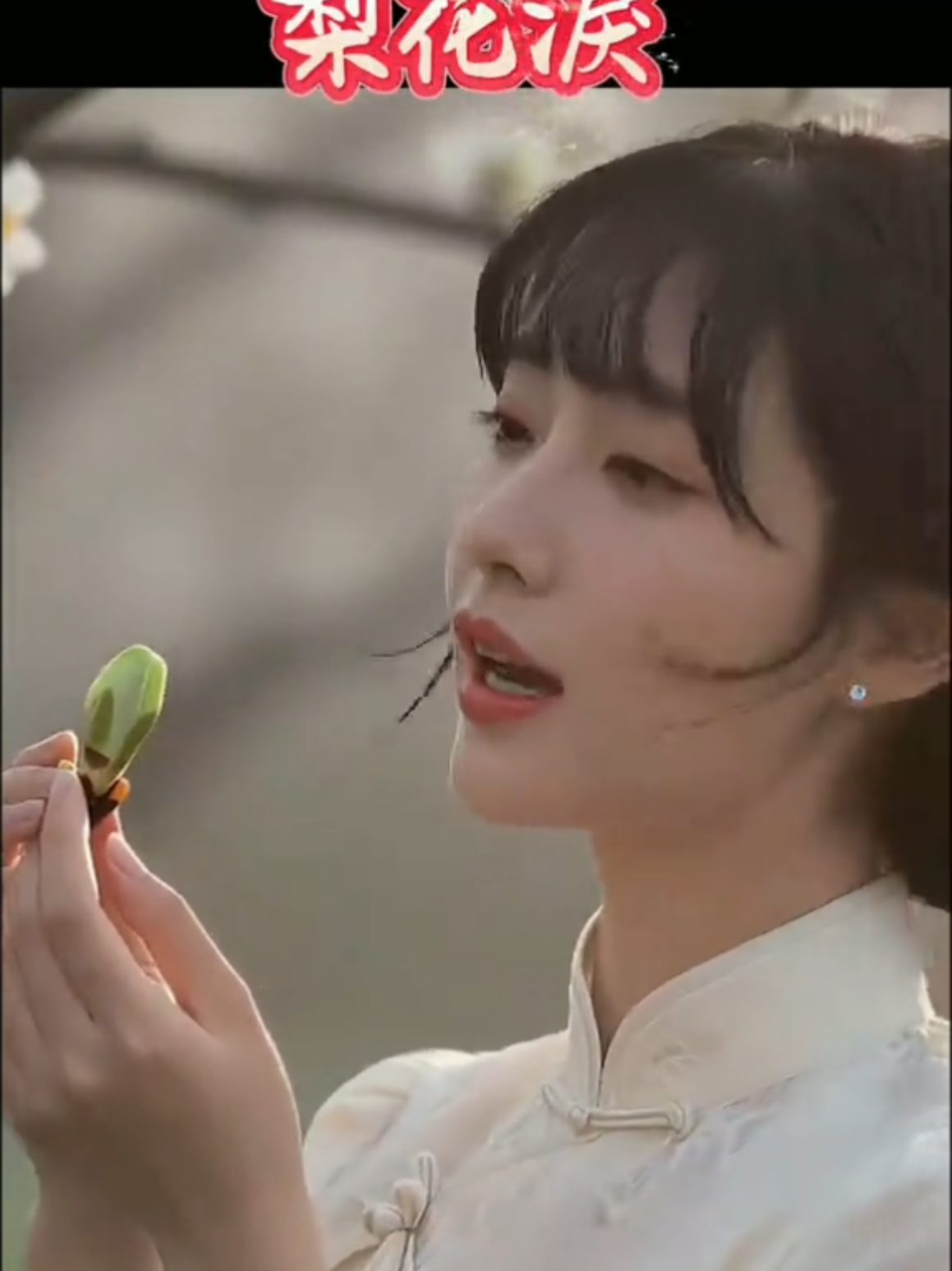 @美丽的世界