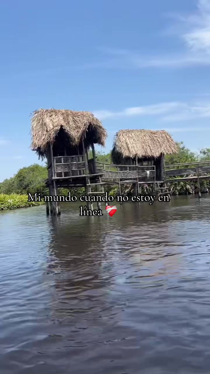 @Mariana N