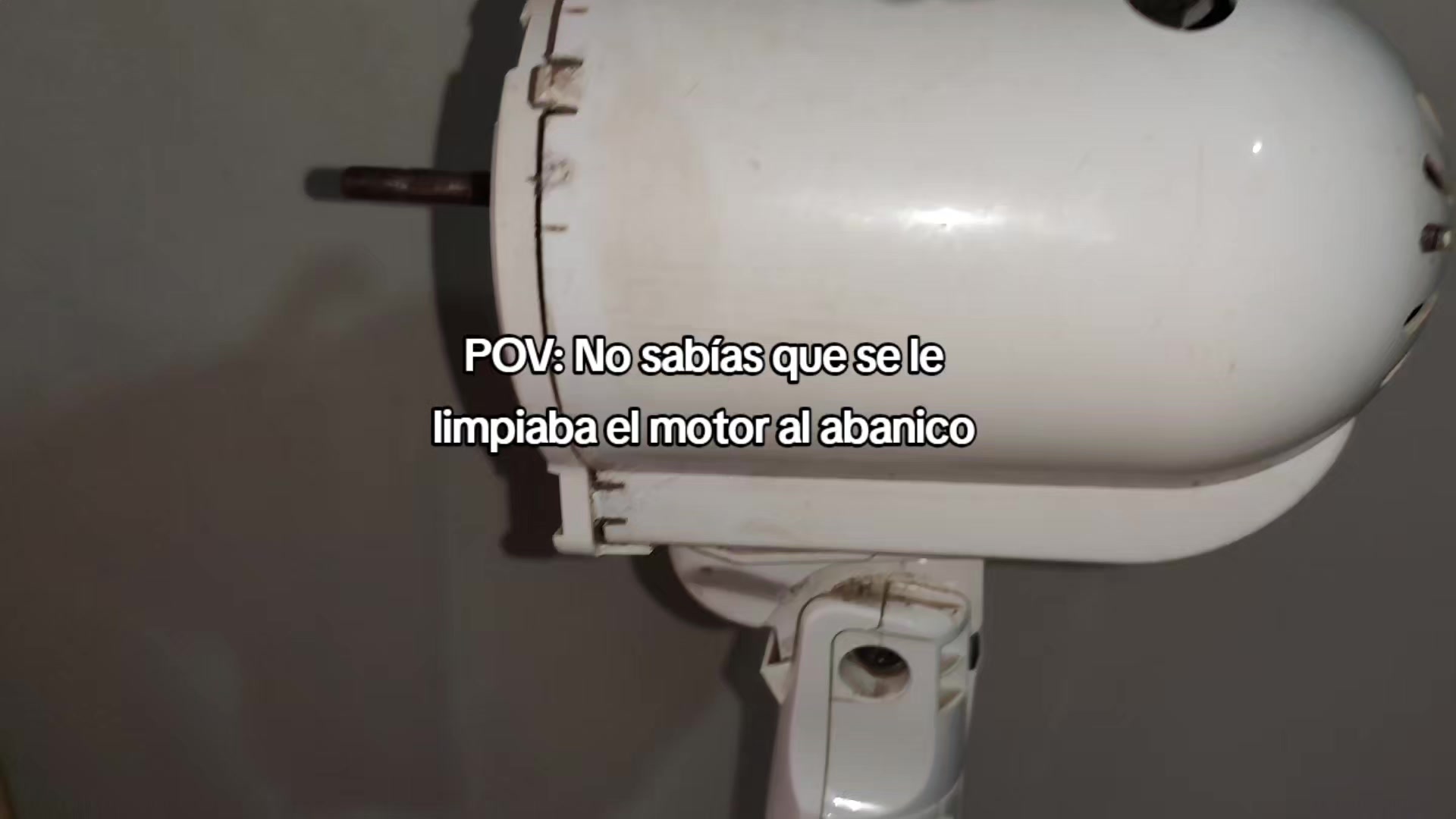 @Fan de One Piece