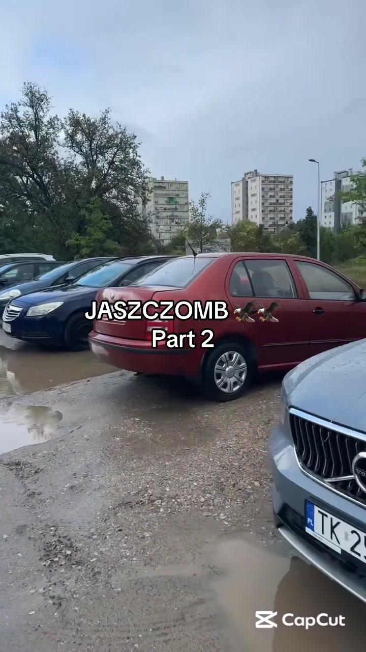 @Andzior 🩷