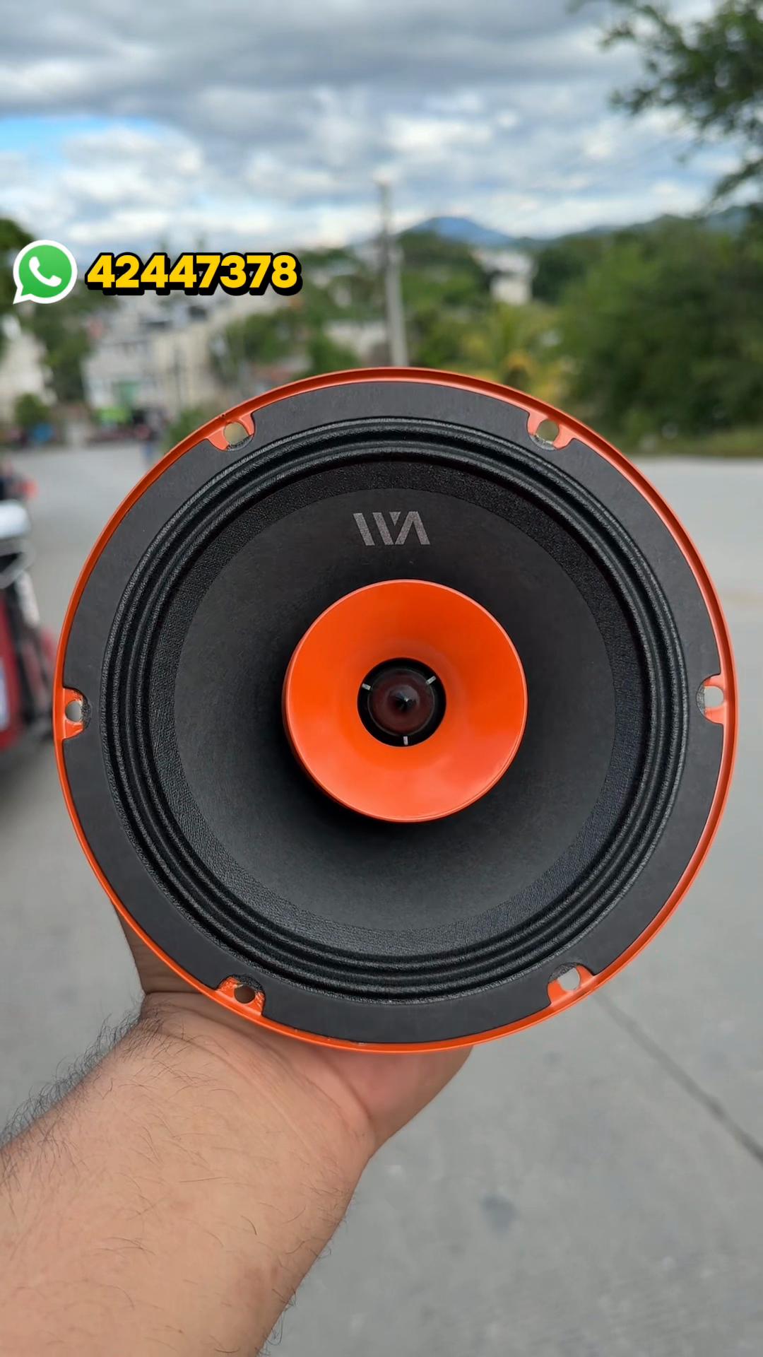 @caraudioSANARATE